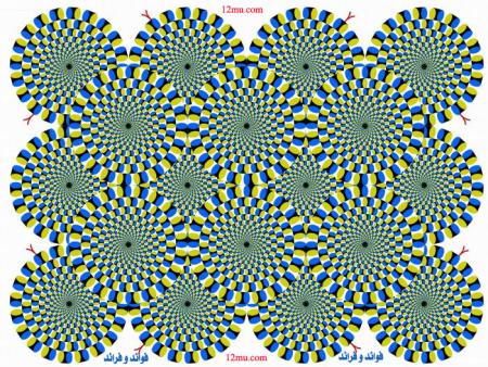 �� ������ ����� �� �����ɿ